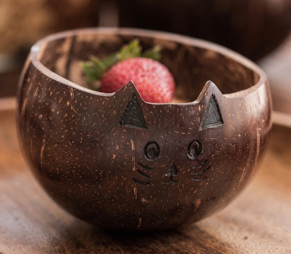 Cat Bowl — Sustainable Range by Minkaa Moments