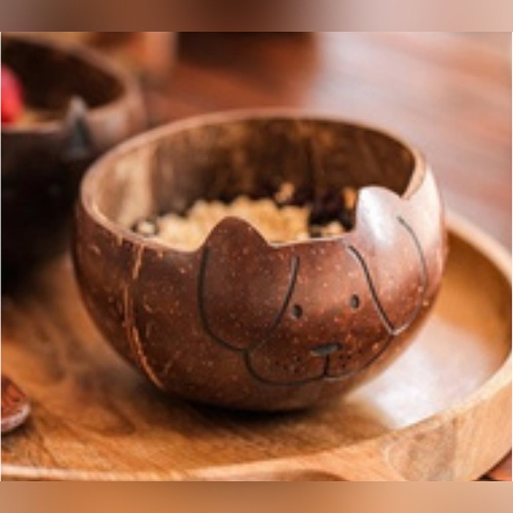 Dog Bowl — Sustainable Range by Minkaa Moments
