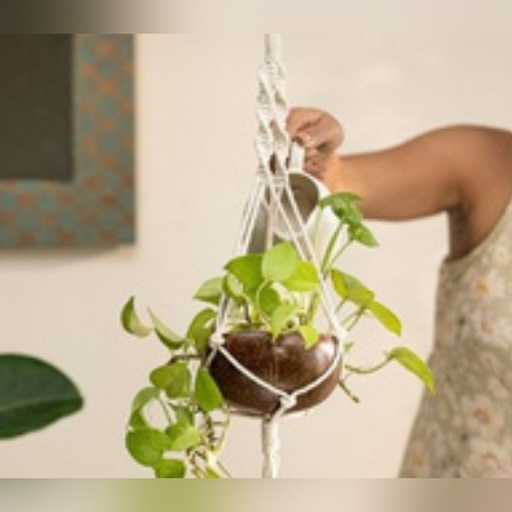 Hanging Planter — Sustainable Range by Minkaa Moments