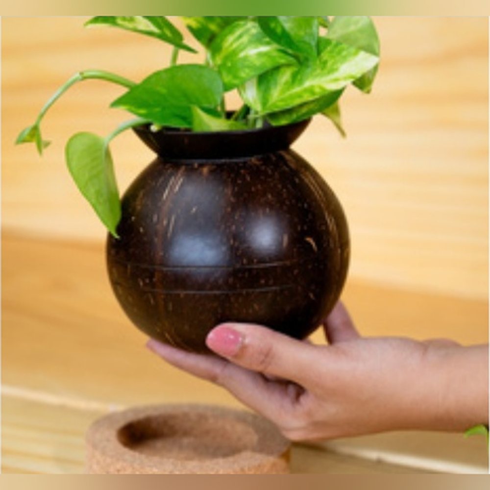 Pot Shape Planter + Cork Base — Sustainable Range by Minkaa Moments